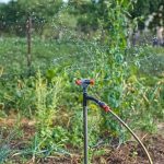 Mikor kell elzárni a kerti csapot?