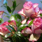 Miért kell páratlan számú virágot adni?