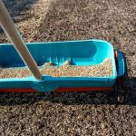 Mikor kell a füvet vetni?