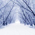 Hány hónap a tél?