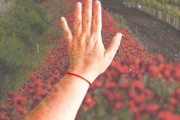 Mit jelent a piros cérna a csuklón?