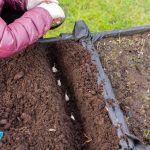 Mikor a legjobb időpont a tavaszi ültetéshez?