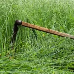 Hogyan kell kaszálni?