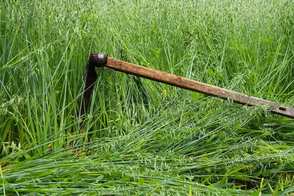 Hogyan kell kaszálni?