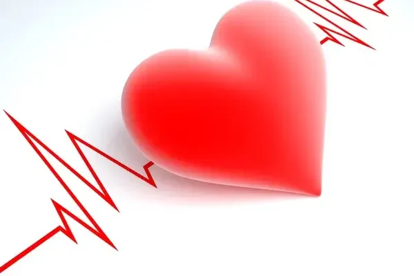 Mennyi a normális szívverés?