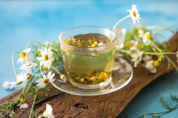 Mennyi kamilla tea adható csecsemőnek?