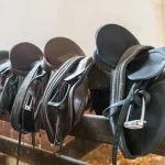 Hogyan válasszunk nyerget?